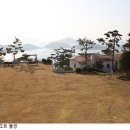 편백산림욕장 진입로 이미지