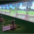 버디스크린연습장 이미지