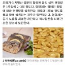 오메가뜨리