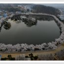 연화지