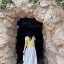 여름 제주 여행 가볼만한곳 여미지 식물원 방문 후기 중문 실내 관광지 추천