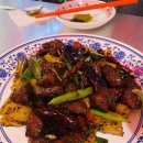 홍콩별밤 이미지