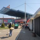 포쉬퍼피 이미지