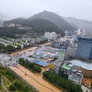 거제용소초등학교 경남신문