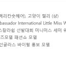 더아커스 이미지