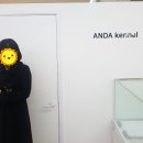 안다켄넬반려견을품에안다