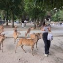 뽑기나라 2호점 | 250924 일본 오사카-나라-교토 ①