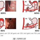 간경변증 진료 가이드라인(정맥류 간성뇌증 및 관련 합병증.). 2019 이미지