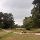 막탄(mactan) | 평지라 더 편한 필리핀 세부 막탄골프클럽(Mactan Golf Club) 걸어서 즐긴 18홀 후기(2026.01.)