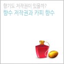 향기도 저작권이 있을까? 향수 저작권과 카피 향수