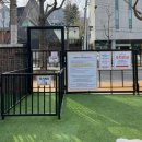 투썸펫 | [앞산 신상애견카페] 꽁냥꿍냥 펫카페 후기!!