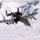 A10 Daum카페