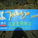 제주올레 1코스 (시흥초등학교~광치기해변) 이미지