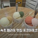 속초중앙시장 젤라또 맛집 포코아포코 방문 후기 배달 포장 가능