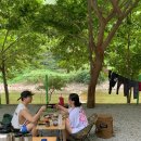 장수방화동캠핑장 이미지