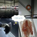 도깨비낚시터 이미지