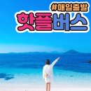 지에스25 법환포구 | 🏝️ [2026 추석 연휴 완결판] 제주 4성급 갓성비 호텔 BEST 6 총정리 (룸타입·다이닝 2곳·공홈 혜택...