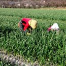 고군보건지소 이미지