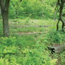 우리농장1 이미지