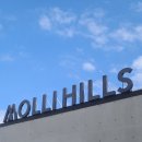 몰리힐스(MOLLI HILLS) | | 거제카페 : 거제 장목 경치좋은 카페 몰리힐스 MOLLI HILLS