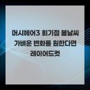 머시헤어 이미지