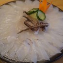 오징어청춘 이미지