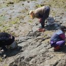 웅천친수공원 이미지