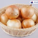더양파소고기 네이버블로그
