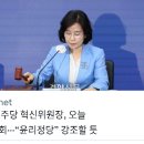 유시민 촐싹대며 이중성으로 들러리하느라 이미지