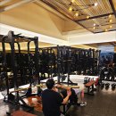 머슬메모리짐 이미지