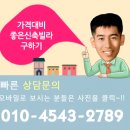 초읍동-27 이미지