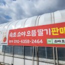 소야농장 이미지