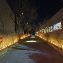 [대구] 크리스마스트리가 너무나도 이쁜 대형 카페 &#34;슬로우벗베럴&#34;