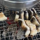 예당민물장어 이미지