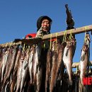 중앙영농조합법인 이미지