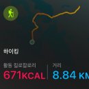 무한대장군 | 제주🏝️ | 낭만 챙기고 근육통은 덤으로 얻은 3월 제주여행(한라산 영실코스 등반하고 바닷가 러닝까지,,)