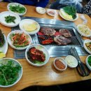 닭팔자