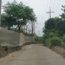 창천지석묘 1호 이미지