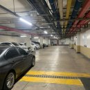 맑은샘이비인후과의원 이미지