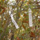 원창2리 이미지