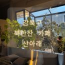 산아래 | [카페] 한산 뷰 감성카페 카페 산아래 솔직 후기｜온실 있는 조용한 카페