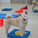 나보다 예쁘개 이미지