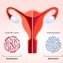 와이덴 | 와이존세럼 유가르덴 내돈내산 사용후기