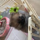 소예뜰