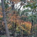 삼포복집 이미지