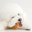 모아덴탈 이미지