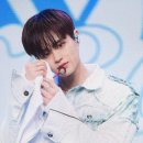 댕댕이 카페 이미지