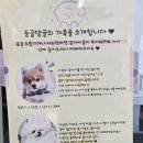 둥글댕글 이미지