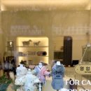 키튼히얼 고양이분양 김포본점 이미지