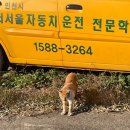 서울자동차 | ❗️장단점 포함❗️ 서서울자동차운전전문학원 솔직 후기 (수강료, 면허학원 고르는 기준, 꿀팁)